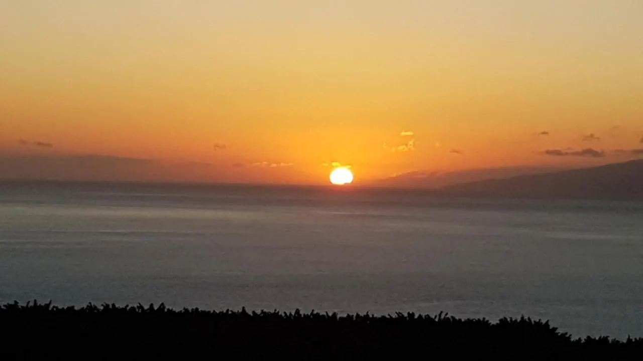 Casa Mariposa Guesthouse (Adults Only) Playa de San Juan  Couette-café Playa de San Juan (Tenerife)